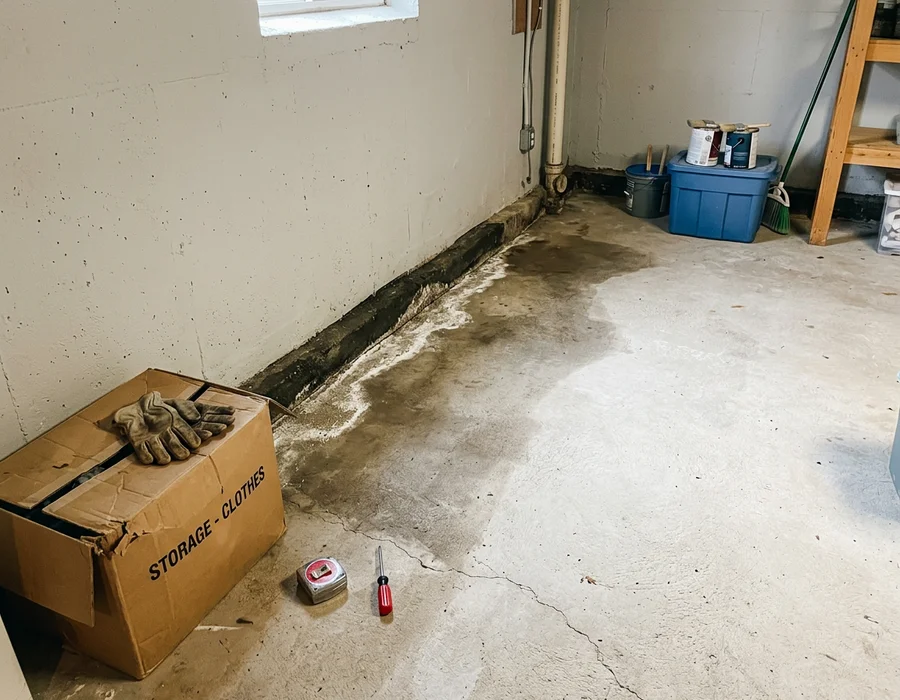 Damp basement slab with efflorescence staining before prep
